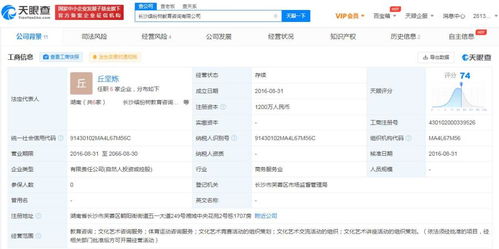 文化信息咨詢 連接傳統與現代的橋梁