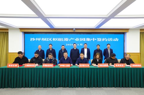 沙坪壩區(qū)招商引資喜迎“開門紅”，23個項目集中簽約總投資達33.1億元